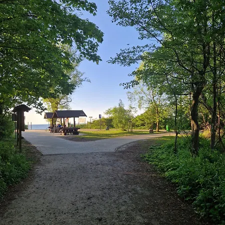 Tarsis Superior * Kołobrzeg