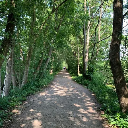 Appartamento Tarsis Superior *