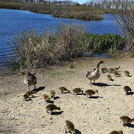 Tarsis Superior Appartamento *