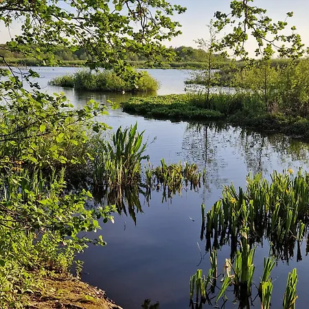 Tarsis Superior Apartment