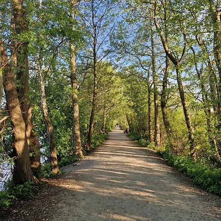 Apartment Tarsis Superior *