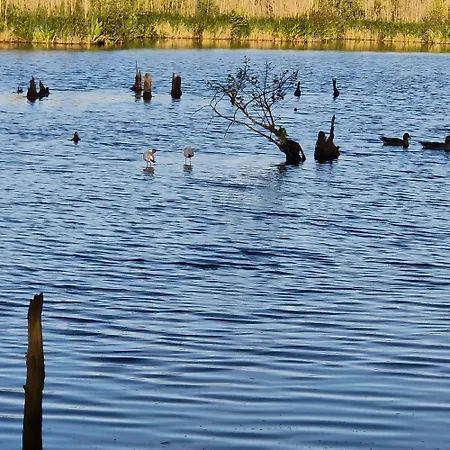 Tarsis Superior Apartment Kolobrzeg