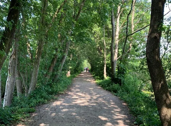 Appartamento Tarsis Superior *