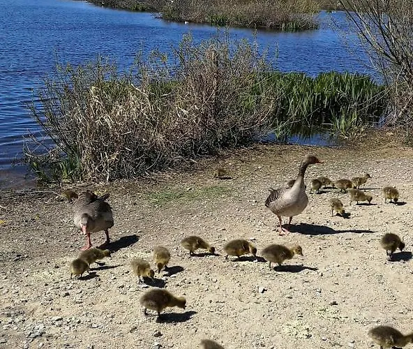 Tarsis Superior Appartamento *