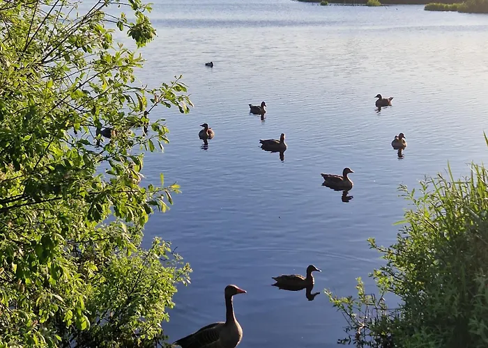 Tarsis Superior Kołobrzeg