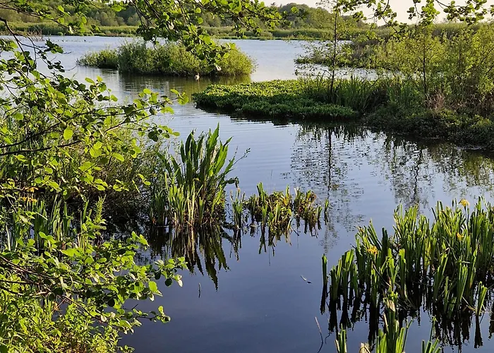 Tarsis Superior Appartamento