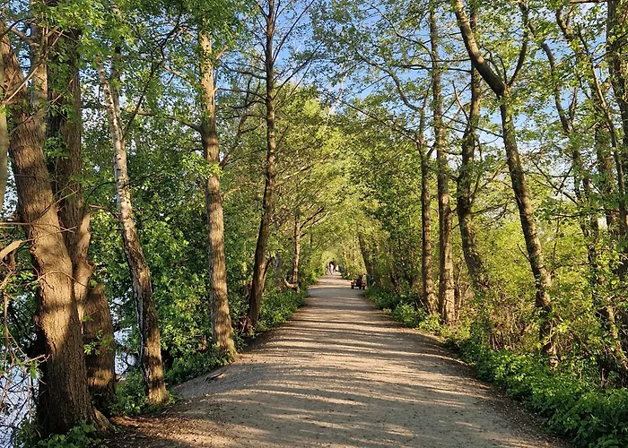 Appartamento Tarsis Superior *