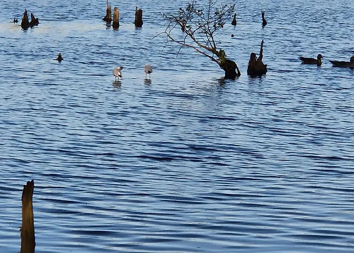 Tarsis Superior Apartment Kolobrzeg