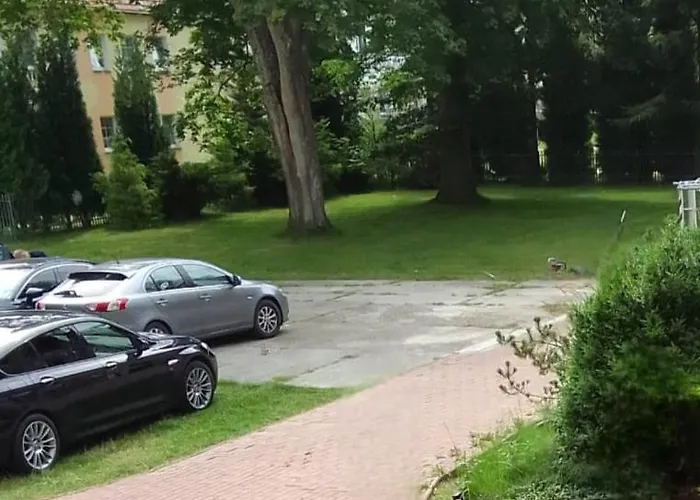 Tarsis Superior Kolobrzeg